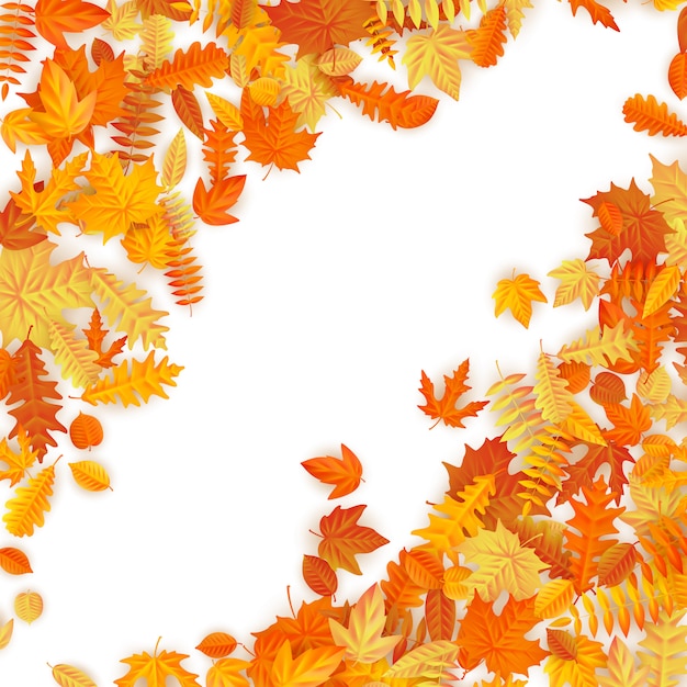Frame met rode, oranje, bruine en gele vallende herfstbladeren.