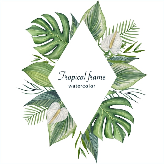 Frame met tropische aquarelbladeren en bloemenTropische achtergrond
