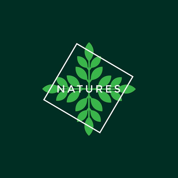 frame natuur blad botanische moderne minimale logo ontwerp grafische vector