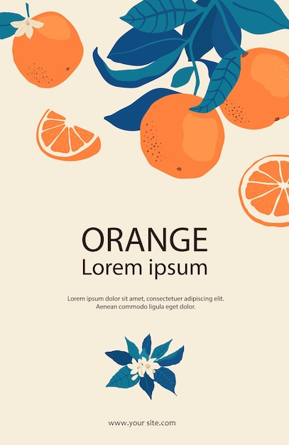 フラットスタイルのコピースペースを持つ枝のオレンジのフレーム。あなたのパンフレットのデザイン、バナー、ラベルのための柑橘系の果物のテンプレート。ベクトルストックイラスト