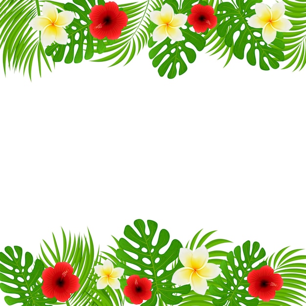 Vector frame of palm leaves with tropical flowers frangipani and hibiscus with green leaves on white backg