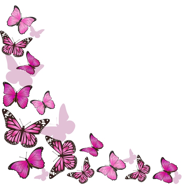 Frame of pink butterflies in flight isolated