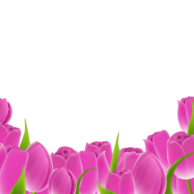 Рамка из розовых тюльпанов