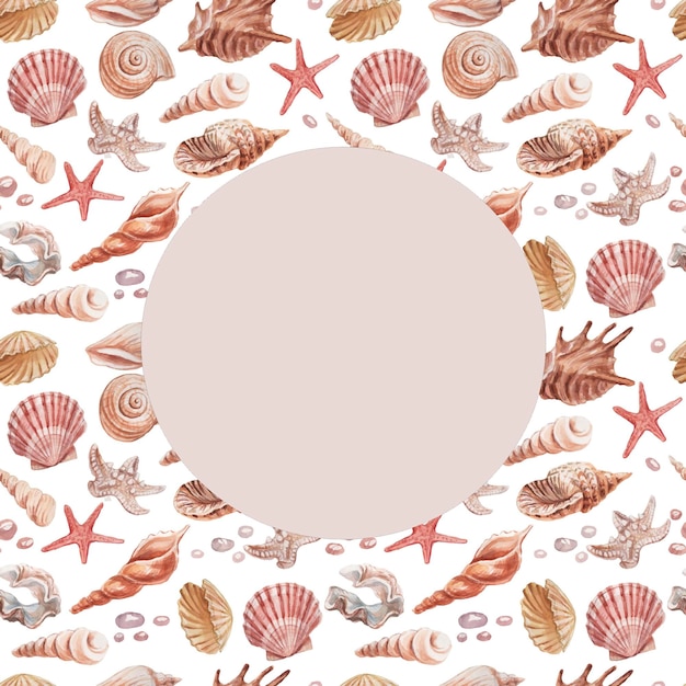 A frame of shells and starfish on a white background