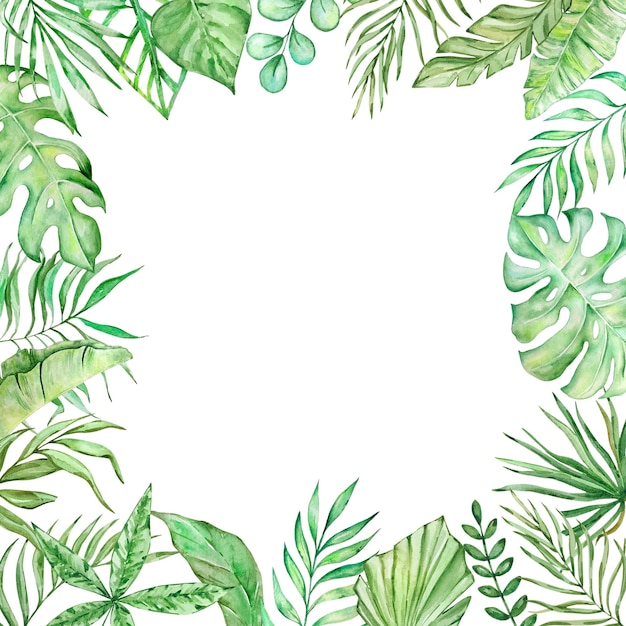 夏のデザインのための水彩の熱帯の葉のフレームの正方形
