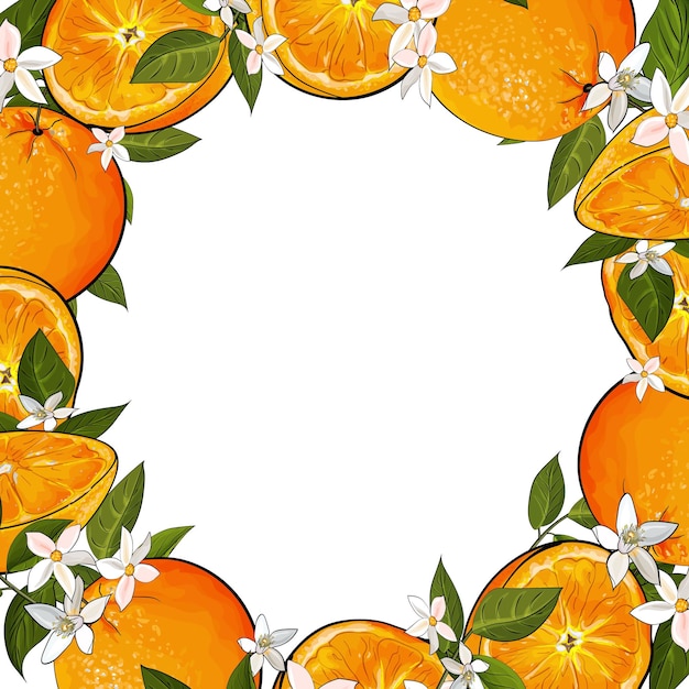 Vector frame van citrusvruchten sinaasappels laat bloemen