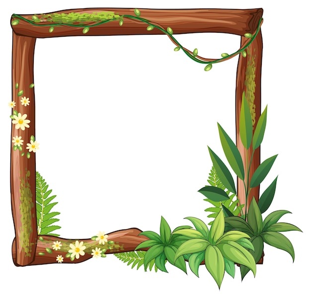 Vector frame van liaan takken en bladeren