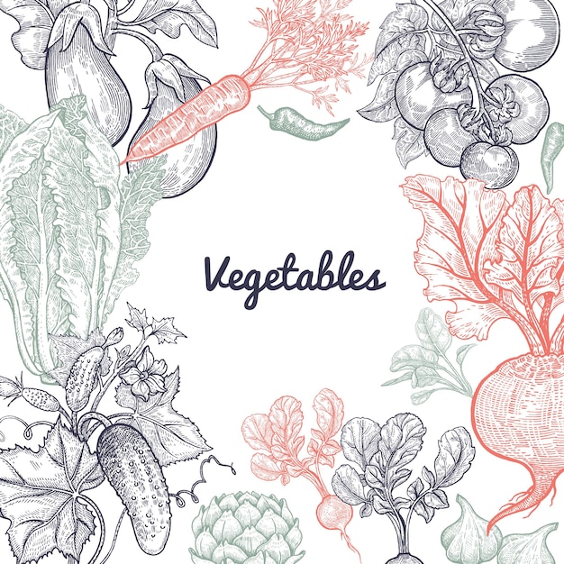 Frame of vegetables and space for text