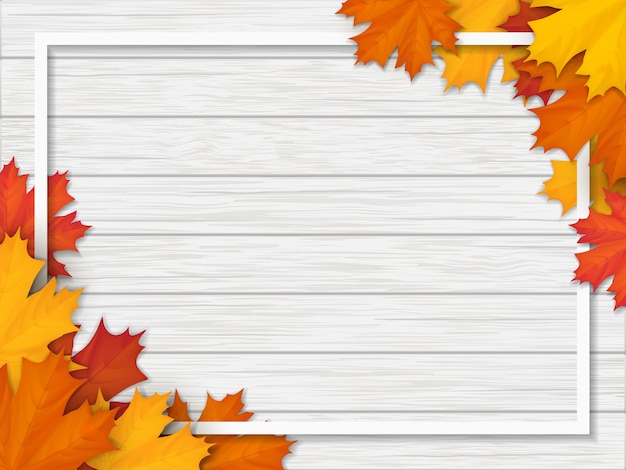 Frame versierd met gevallen esdoornbladeren. herfstbladeren op de witte achtergrond van een houten vintage tafeloppervlak.