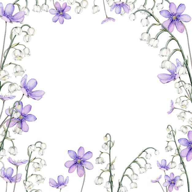 Вектор Кадр акварель весенние цветы коппице гепатика первая весенняя цветы весенняя лилия долины