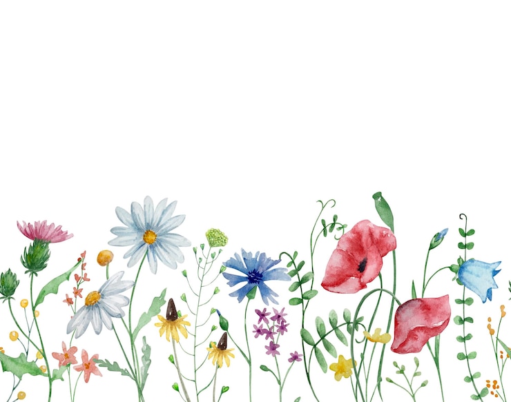 Vector frame of watercolor wildflowers