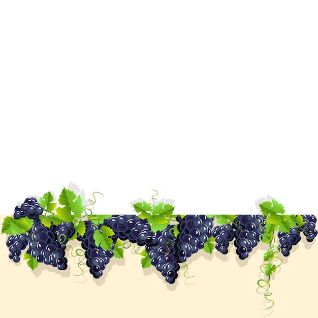 Frame with black grapes