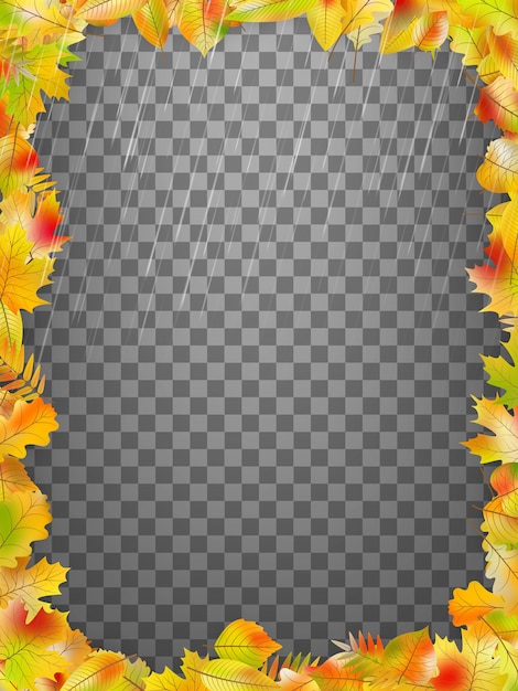 Vector frame with colorful autumn leaves.