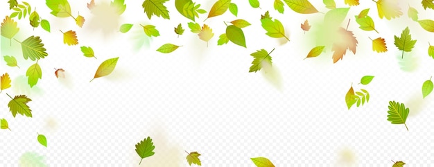 Vector frame with falling flying green leaves