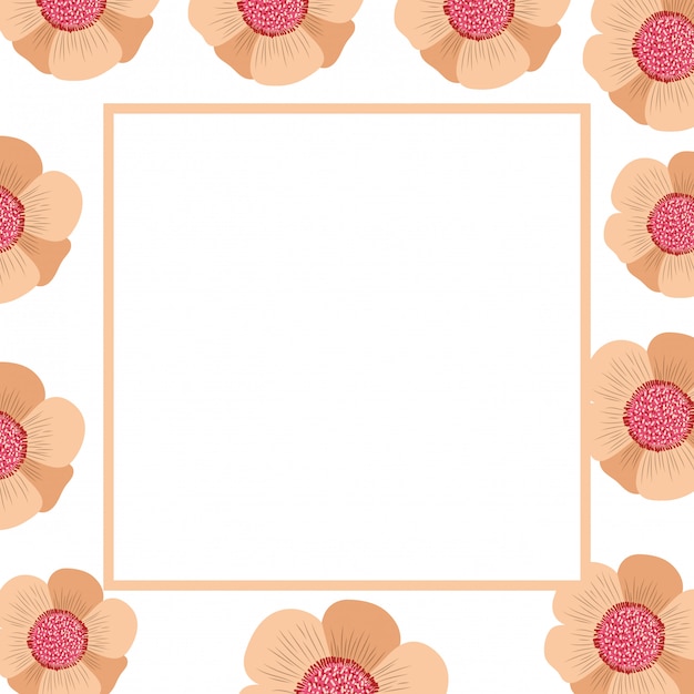 Frame with flower on white