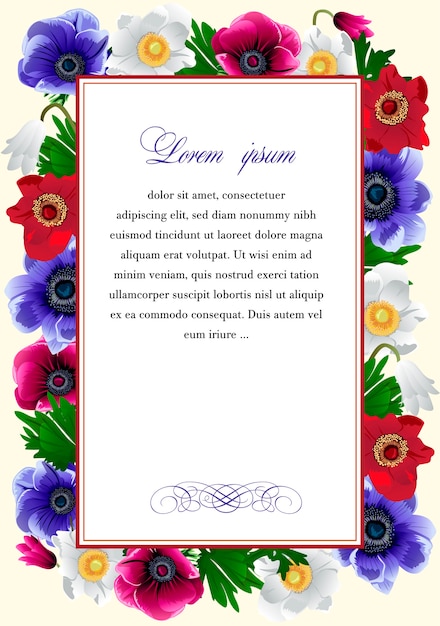 Frame with the flowers of anemone