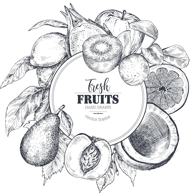 Vector frame with hand drawn vector fresh fruits in sketch style round border composition