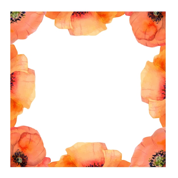 Frame with hand drawn watercolor poppy flowers