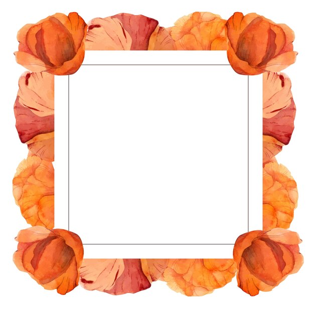 Frame with hand drawn watercolor poppy flowers