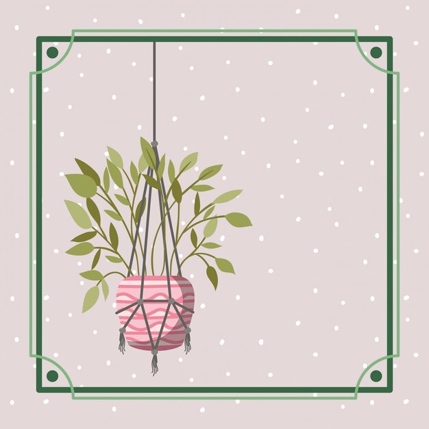 Frame with houseplant hanging in macrame