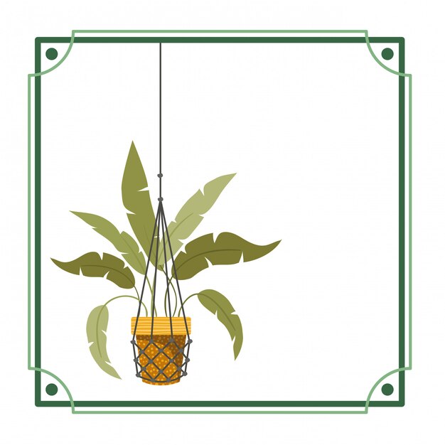 Frame with houseplant on macrame hangers