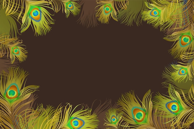 Vector frame with peacock feathers