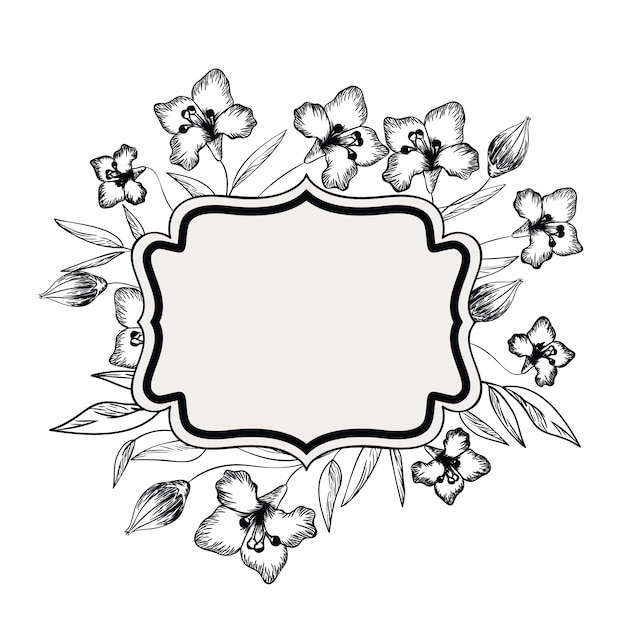 Frame with plants and herbs isolated icon