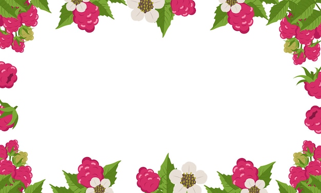 Frame with raspberries leaves and flowers on white.