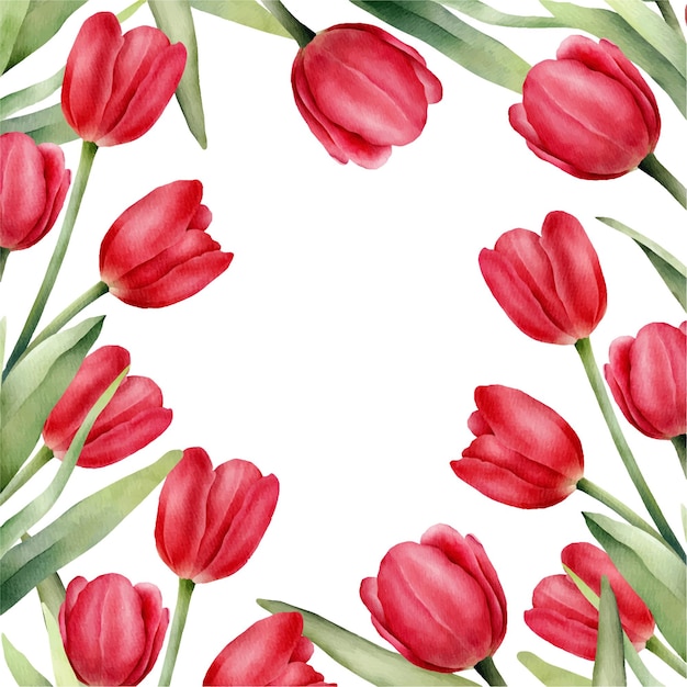 Frame with red watercolor tulips and green leaf Hand drawn watercolor illustration