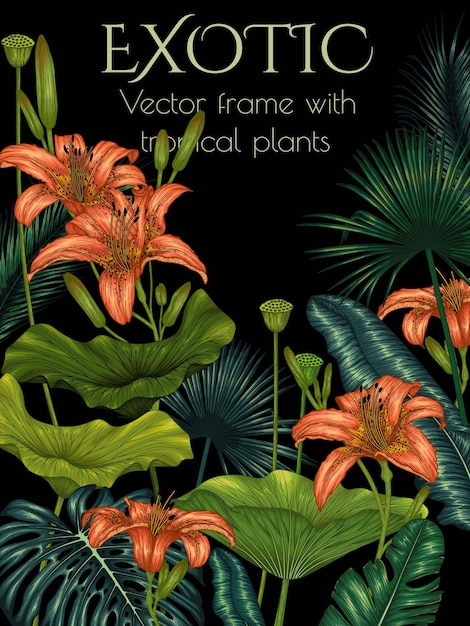 Vettore cornice con piante tropicali fiori e foglie tropicali colorati con grafica lineare