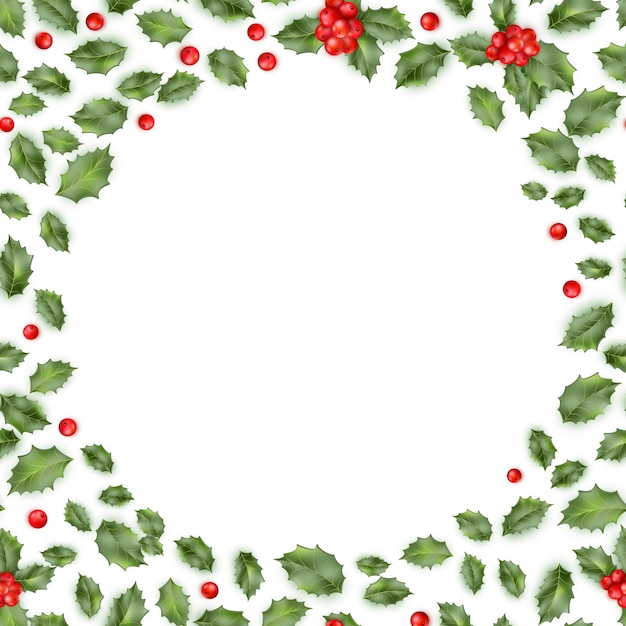 Vector framed holly  on white background.