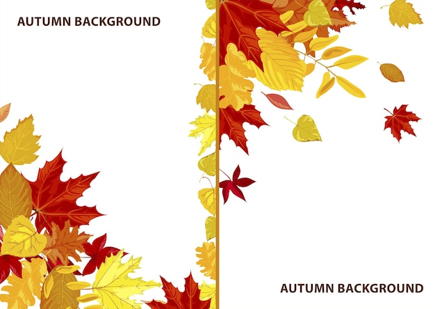 Frames and backgrounds with leaves, autumn themed decorative empty banners or posters with copyscape. sale or clearance, fall season promo marketing flyer with ornaments. vector in flat style