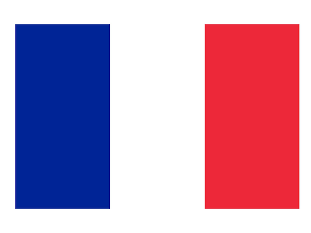 France flag official country flag world flag icon International flag icon