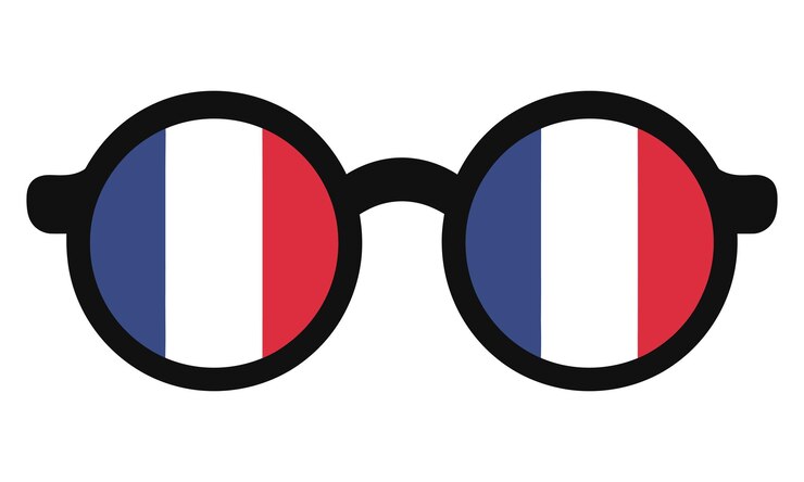 France Flag Sunglasses Icon I Love France Concept vector illustration