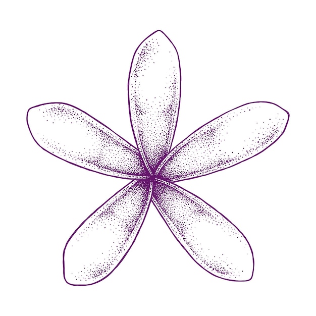 Frangipani 꽃 Pointilism 손으로 그린