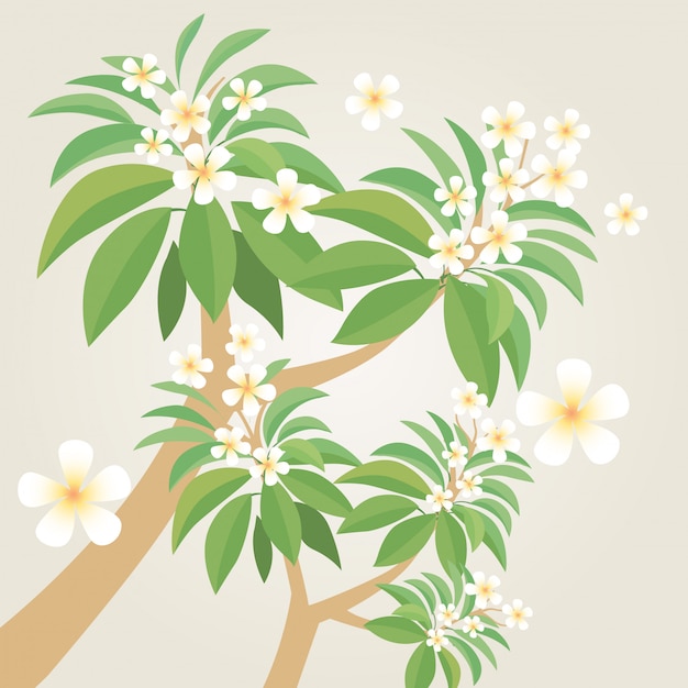 Vector frangipani flower