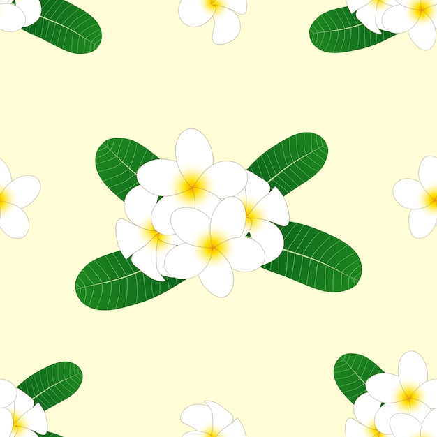 Frangipani on ivory beige background