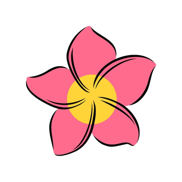 벡터 frangipani 또는 plumeria 이국적인 여름 꽃 새겨진된 frangipani 흰색 배경 벡터에 고립