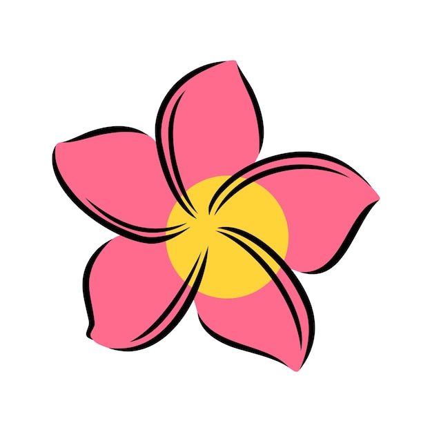 Frangipani 또는 plumeria 이국적인 여름 꽃 새겨진된 frangipani 흰색 배경 벡터에 고립