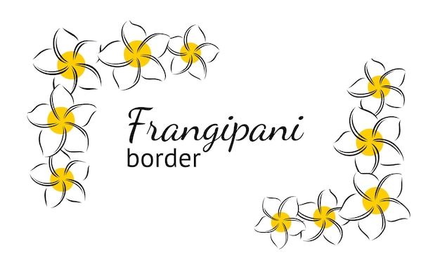 Frangipani o plumeria fiore estivo esotico frangipani inciso isolato su sfondo bianco vettore