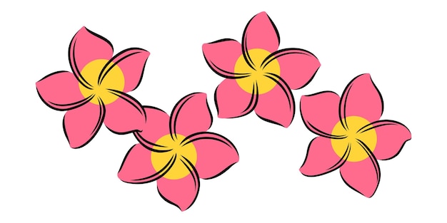 Vettore frangipani o plumeria fiore estivo esotico frangipani inciso isolato su sfondo bianco