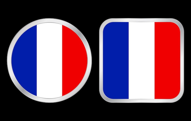 Vector frankrijk vlagpictogram