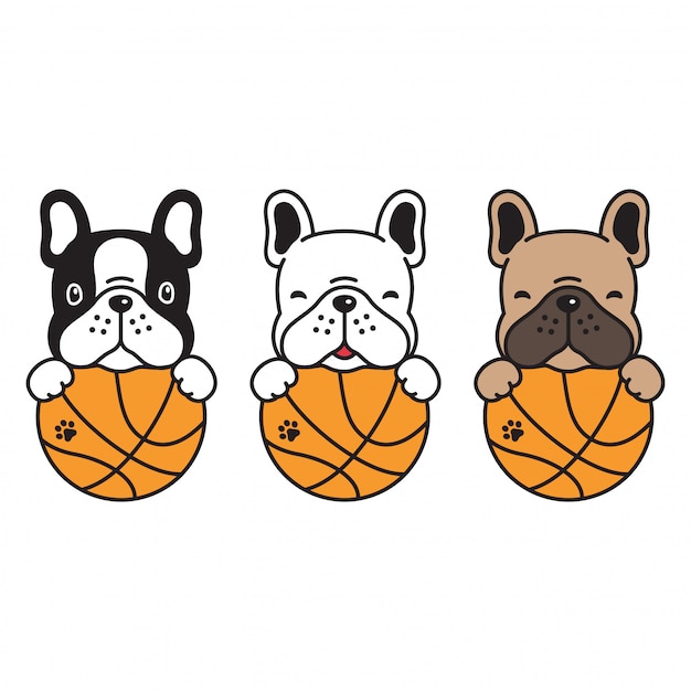 Franse bulldog basketbal hond