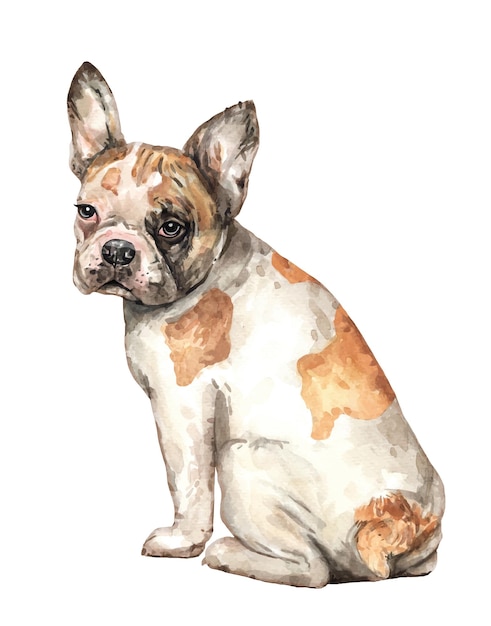 Vector franse bulldog draait zich om franse bulldog hond zit en draait zich om