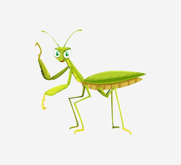 Vector free cute cartoon grasshopper sitting on a green leaf