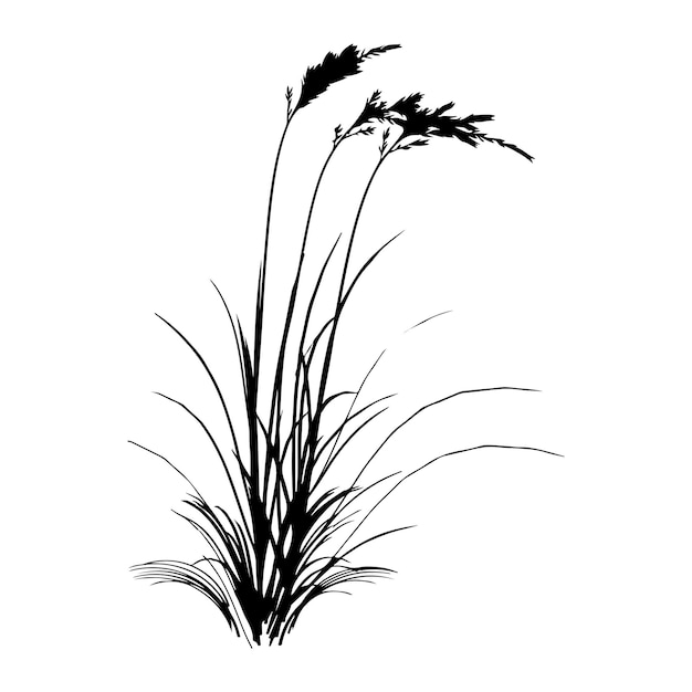 Free download grass tree plant silhouette