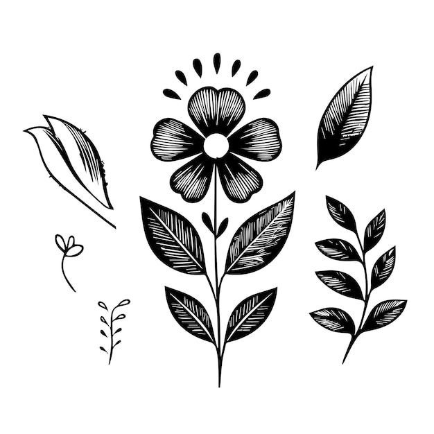 Free Download vector flower line art illustration