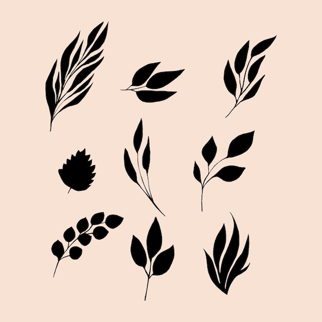 Free ornamental elements collection