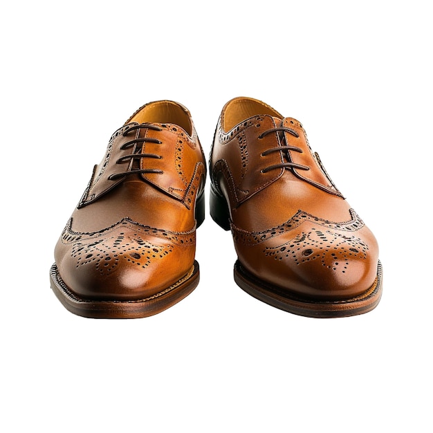 Free png leather shoes