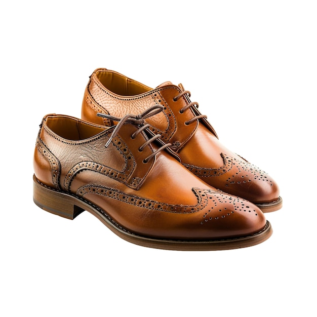 Free PNG leather shoes